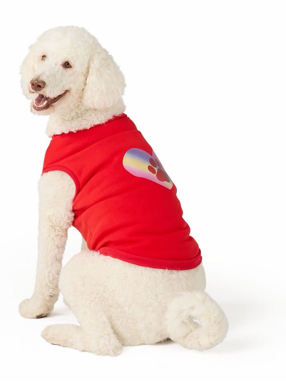 Top Paw Sweater